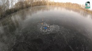 Ротан.  Открытие сезона твёрдой воды