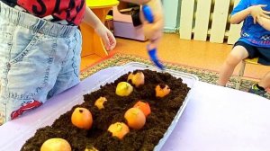 "Есть у нас огород, посмотри, что там растёт"