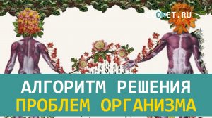 Алгоритм решения проблем организма