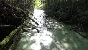 Остроленский шлюз на реке Горюн. Из Сомино на моторе по Тихвинской водной системе. Жуткая находка.