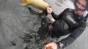 подводная охота в мутной воде.
