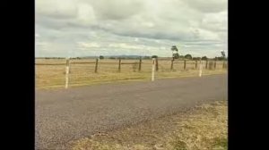 Тест уникальных свойств сигнальных дорожных столбиков Стилфлекс.