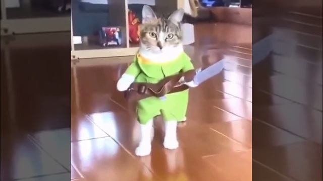 разбойник с большой дороги
