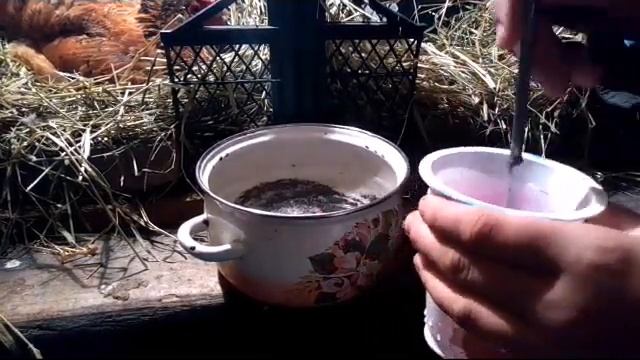 Марганцовка для профилактики курам, как и сколько раз нужно давать. Азы!!! смотреть онлайн