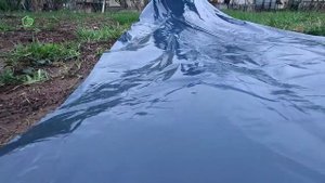 Металлические грядки 0,7х2 Благо для клубники и виктории