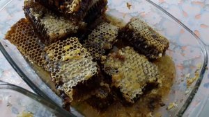 Натуральный мёд или подделка. Мёд фальсификат. Лечебный мёд в сотах