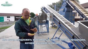 Технология сбора и обработки ромашки ФармаЦвет