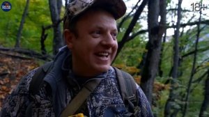 Напал огромный медведь. Южная Осетия, 10 дней в горах.