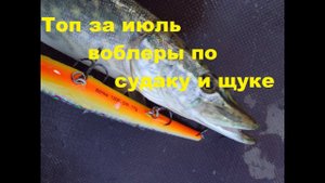 Тролинг топ воблеров по судаку и щуке за июль