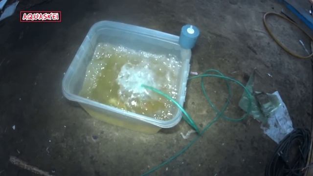 Мощный 12V компрессор для аквариума (для разводни). На случай отключения электричества. смотреть онлайн