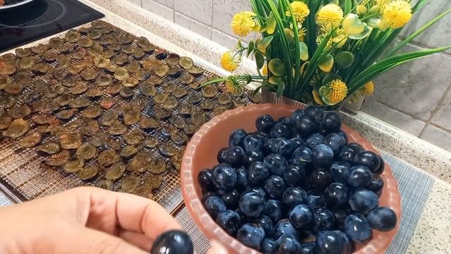 Забытый источник витаминов - целитель с незабываемыми свойствами!!!