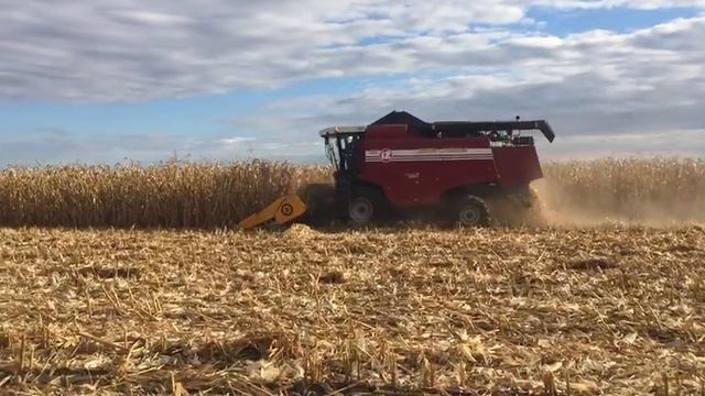 IMG 1610 смотреть онлайн