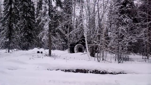 КАРАКАТ "ОХОТНИК".ПОЕЗДКА В ЛЕС ЗА ДРОВАМИ З КМ.ОТ ДОМА смотреть онлайн