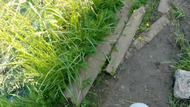 В Московской области на большом реке Попробовал ловить рыбу смотреть онлайн