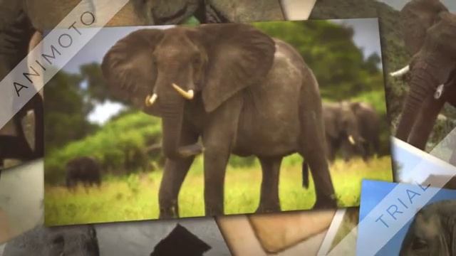 Мантра мощно притягивает удачу. смотреть онлайн