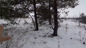 Охота На Зайца И Лису С РПГ! Отличная Робота Гончих!