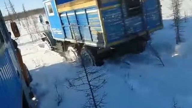 В Якутии медведя насмерть задавили грузовиком 18+ смотреть онлайн