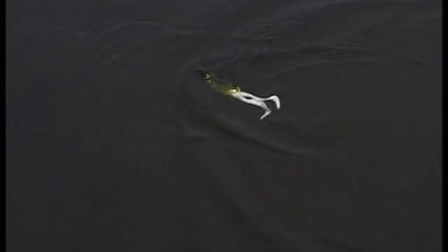 Ловля щуку на лягушку! смотреть онлайн