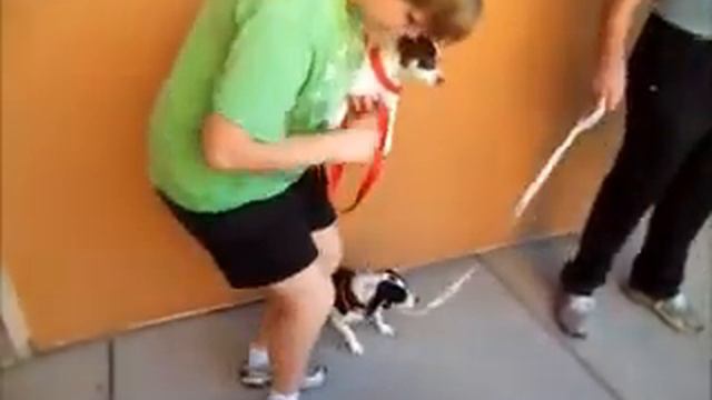 Constance Bennett ID 120820 смотреть онлайн