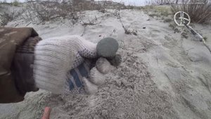 Сбор ЗОЛОТА и огромного ЯНТАРЯ на диких пляжах Балтики! Главное - быть первым в нужном месте...