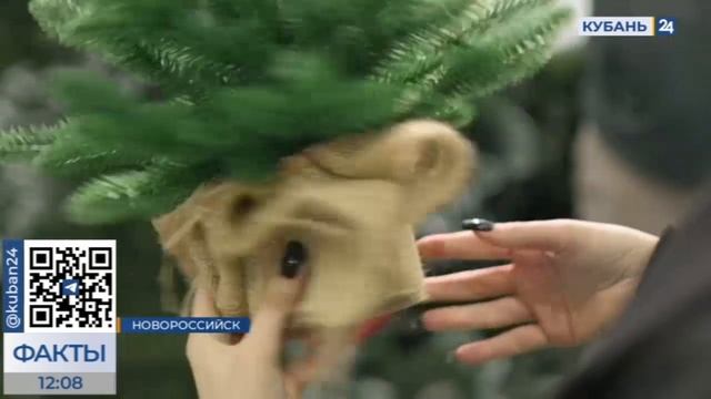 Как делают искусственные елки на фабрике в Новороссийске