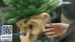 Как делают искусственные елки на фабрике в Новороссийске