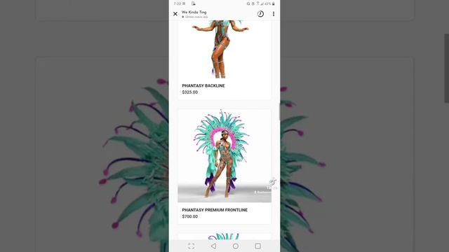 carnival costume registration process. смотреть онлайн