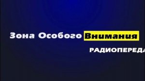 Радиопередача _Зона особого внимания_ от 07.04.2015 г..mp4