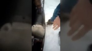 Снегоход буран с двигателем Лифан 24 л.с