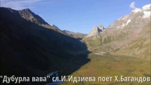 Горный цветок