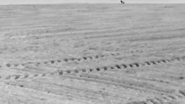 Thermal fox with Hik micro Lynx pro. Dropped with .223 смотреть онлайн