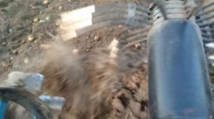 Копаем картошку самодельным трактором и конной польской копалкой. #васильки