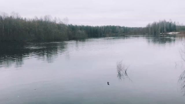 Где лучше жить? В городе или деревне?