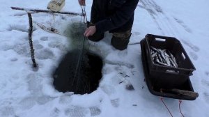 ЛОВЛЯ РЯПУШКИ-МОЙ КРАЙНИЙ ВЫЕЗД / ПРОВЕРКА СЕТЕЙ / ЗАКРЫТИЕ РЯПУШКОВОГО СЕЗОНА