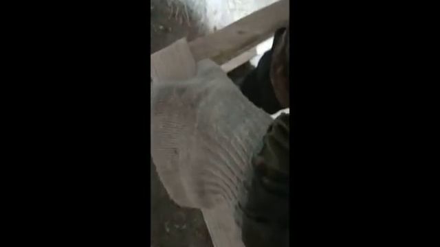 Брудер для птенцов из пеноплекса