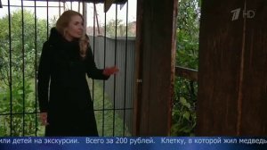 В Воронежской области медведь сбежал из частного зоопарка и напал на людей.