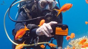 5 Waterproof Camera to Buy in 2024