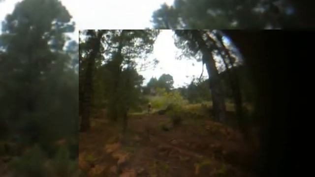 TRAILER marzo dh la palma 2008 смотреть онлайн