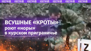 «Копаем и копаем ***!»: ВСУшные «кроты» устали делать «норки» в курском приграничье