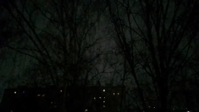 Галки и вороны устроились на ночёвку и подняли галдёж смотреть онлайн