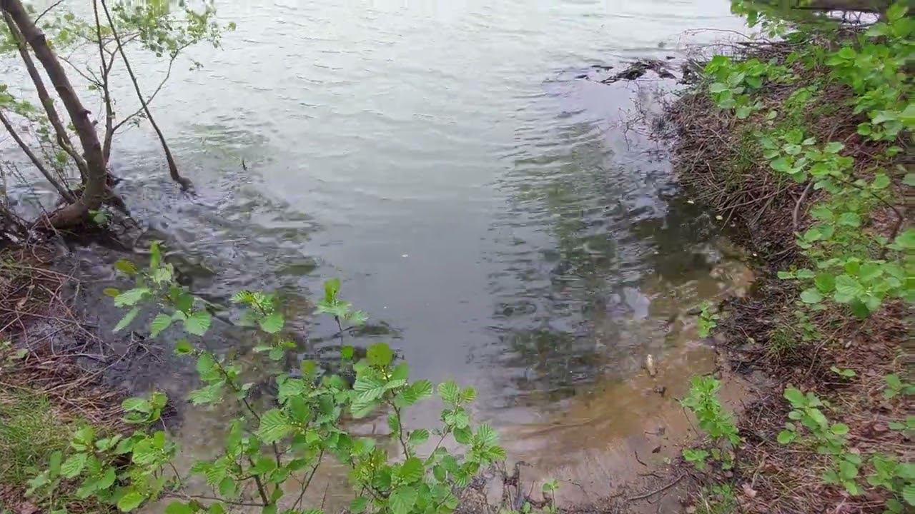 В Голубое Озеро в Золотово Сливают Отходы? смотреть онлайн