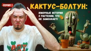 Кактус липучка. Что случилось? #Растениеводство #жесть #кактус #ужас #прикол #приколы #юмор #artone