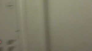 Электрический лифт V=0,71 м-с, грузоподъемность 320 кг (1844)