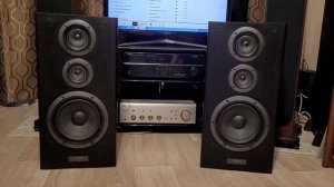 Pioneer CS 5030 and Pioneer A 502