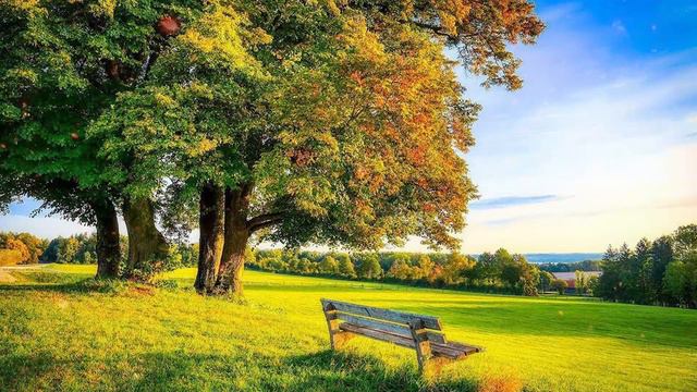 Красивая музыка завораживает душу Сборник ЛУЧШИХ Мелодий от которых мурашки по телу! #34 смотреть онлайн