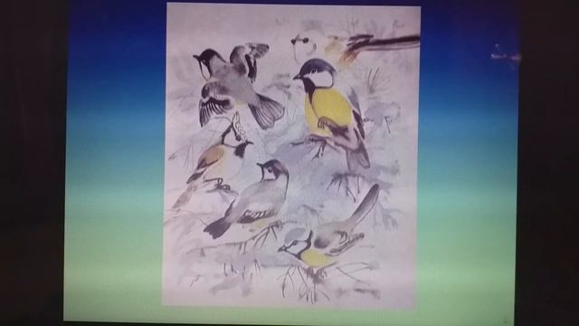 Г. Снегирев - Про птиц. Читает Т.А. Соколова. Библиотека мкрн. Луговая смотреть онлайн