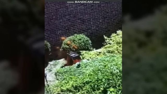 Плохой день на работе, идиоты на работе 2 смотреть онлайн