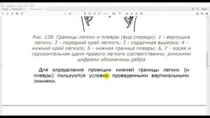 42 Границы легких и плевры