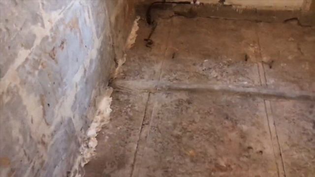 Интерскол 2P200. Установка высокого давления для небольших объектов.