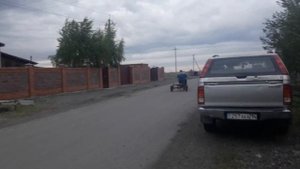 муравей с вариатором Сафари